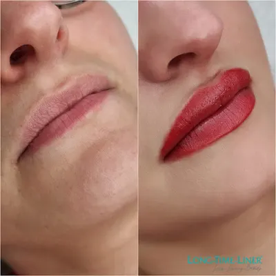 STUDIO BC- Beauty Concept